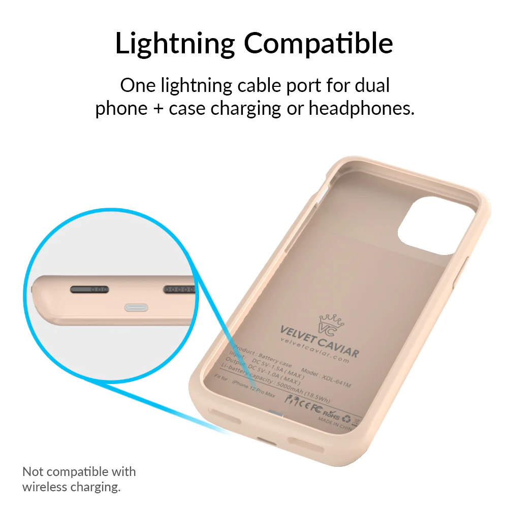 Nude iPhone Charging Case - Image 60